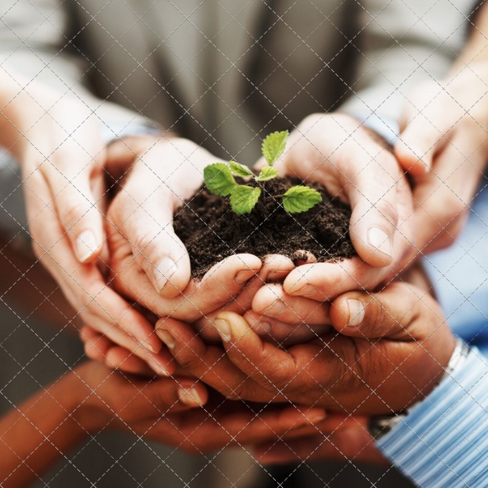 photodune-202935-business-growth-hands-holding-green-plant-indicating-teamwork-m